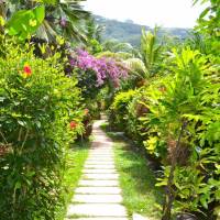 Deluxe Bungalow with Garden View