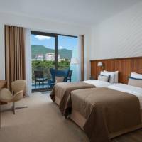 Deluxe Double or Twin Room with Mountain View