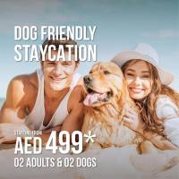 Dog Friendly Chalet Queen or Twin