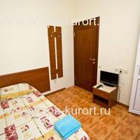 Двухместный номер с 1 кроватью