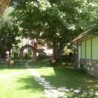 Single Room with Garden View