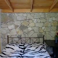 Budget Twin Room