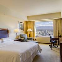 Guest room, 1 King, City view
