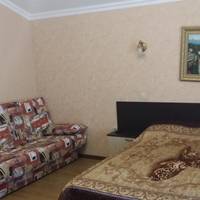 Двухместный номер с 1 кроватью