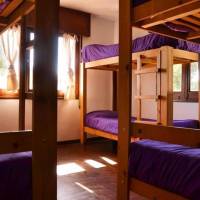 Bed in 6-Bed Mixed Dormitory Room