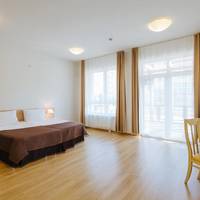 Superior One-Bedroom Apartment with Terrace Access