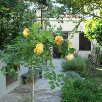 Studio (2 Adults)
