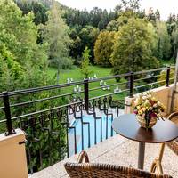 Comfort Double Room with Park View