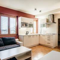 One-Bedroom Apartment with Extra bed