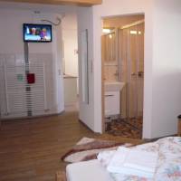 One-Bedroom Apartment with Shower