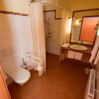 King Room with Roll-In Shower - Disability Access