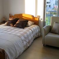 Standard One-Bedroom Apartment