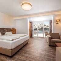 Double Room with Mountain View
