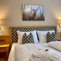 Deluxe Double Room with Balcony and Lake View