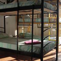Bed in 5-Bed Mixed Dormitory Room