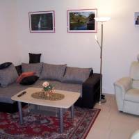 One-Bedroom Apartment in the Basement without Balcony