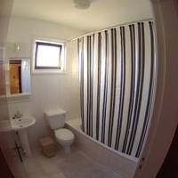 Standard One-Bedroom Apartment