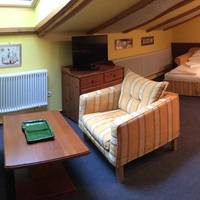 One-Bedroom Apartment Attic