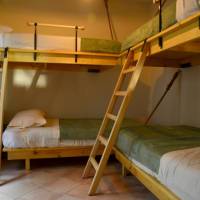 Bed in 4-Bed Mixed Dormitory Room