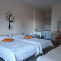 Studio (3 Adults)