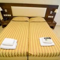 Double or Twin Room with Mountain View