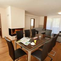 Deluxe Three-Bedroom Apartment
