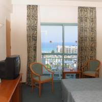 Double or Twin Room with Pool View