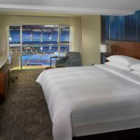 Guest room, 1 King, Field view