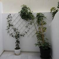 Semi-Basement Studio with Courtyard