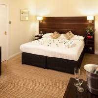 Standard Room with a King Bed