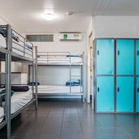 Bed in 4-Bed Mixed Dormitory Room