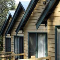 Suite with Forest View and Spa Bath