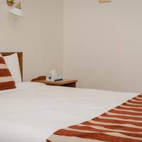 Deluxe King or Twin Room