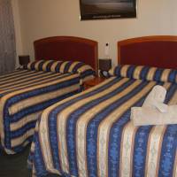 Budget Twin Room