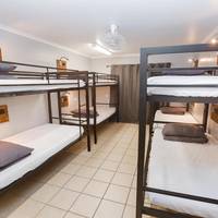 Bed in 8-Bed Mixed Dormitory Room