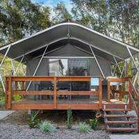 Deluxe Safari Tent - Sleeps 4