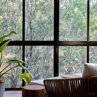 Treetops Luxe Suite