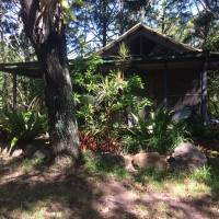 One Bedroom Cabin (Queen & Single Bed)