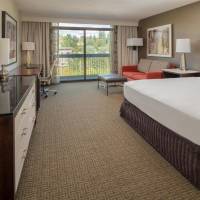 King Room - High Floor