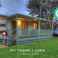 Budget Studio - Pet Friendly 