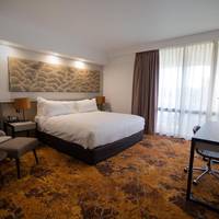 Deluxe King Room - Non-Smoking