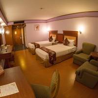 Free Upgrade-Deluxe Double or Twin Room