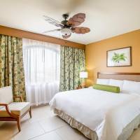 One-Bedroom Premium with 1 King Bed