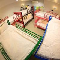 Bunk Bed in Mixed Dormitory Room