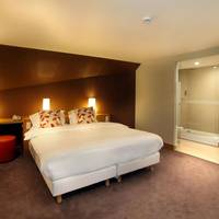Double or Twin Room with Lake View
