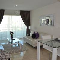 Deluxe One-Bedroom Apartment