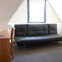 Family Room (4 Adults)