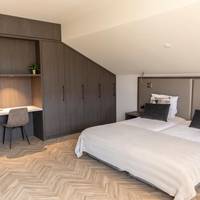 Superior Deluxe Double or Twin Room 