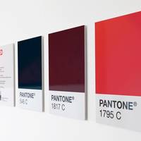 Pantone Large