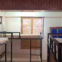 Bunk Bed in Mixed Dormitory Room (For Foreigners only)
